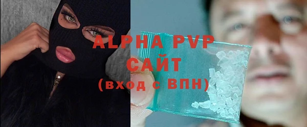 индика Медвежьегорск