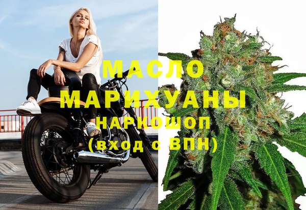 индика Медвежьегорск