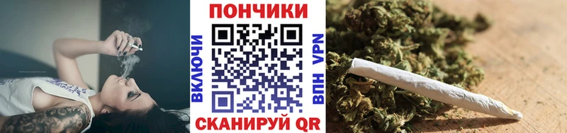 Шишки марихуана план  гидра ссылки  Фокино  наркотики 
